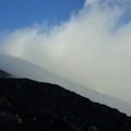 ガラでは無いのですが、せっかくなので高山植物（6合目～7合目）でも撮ってみようかと、思ってみたものの、雨のため、カメラを出すのが億劫で、結局最初の一...